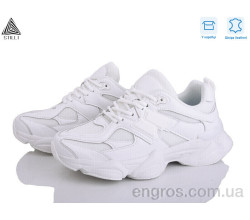 Кроссовки STILLI Group